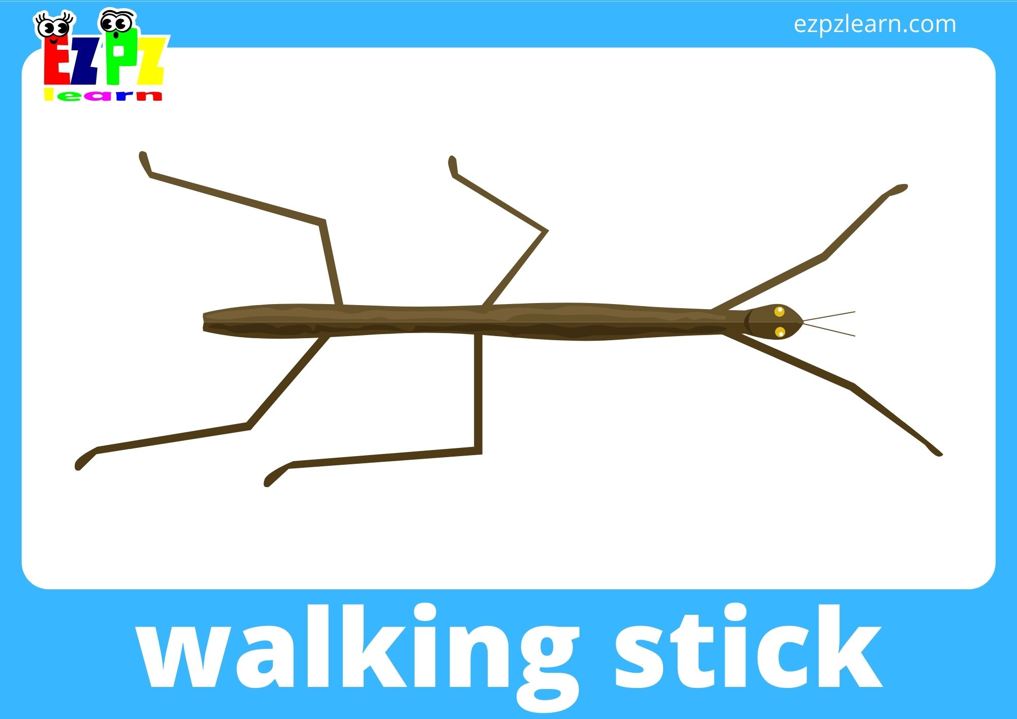 walking stick